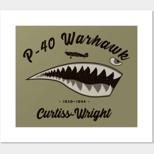 P-40 Warhawk Shark Tooth Posters and Art